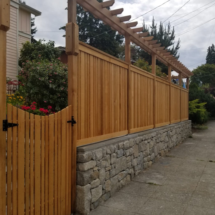 Cedar: Trellis